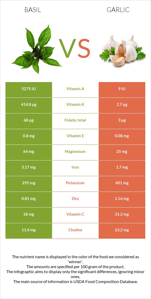 Basil vs Garlic infographic