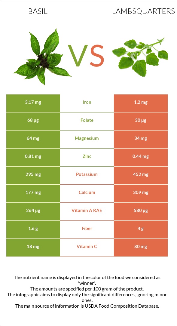 Basil vs Lambsquarters infographic