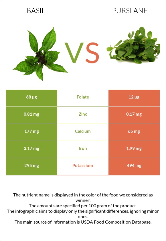 Basil vs Purslane infographic