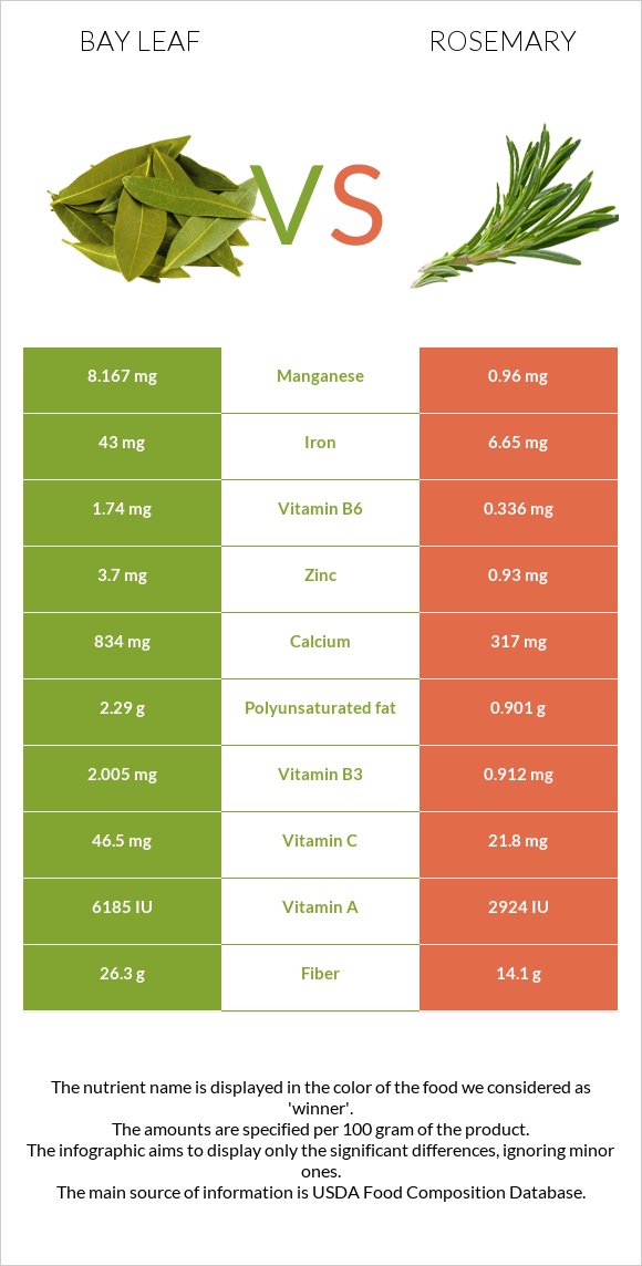 Bay leaf vs Rosemary infographic