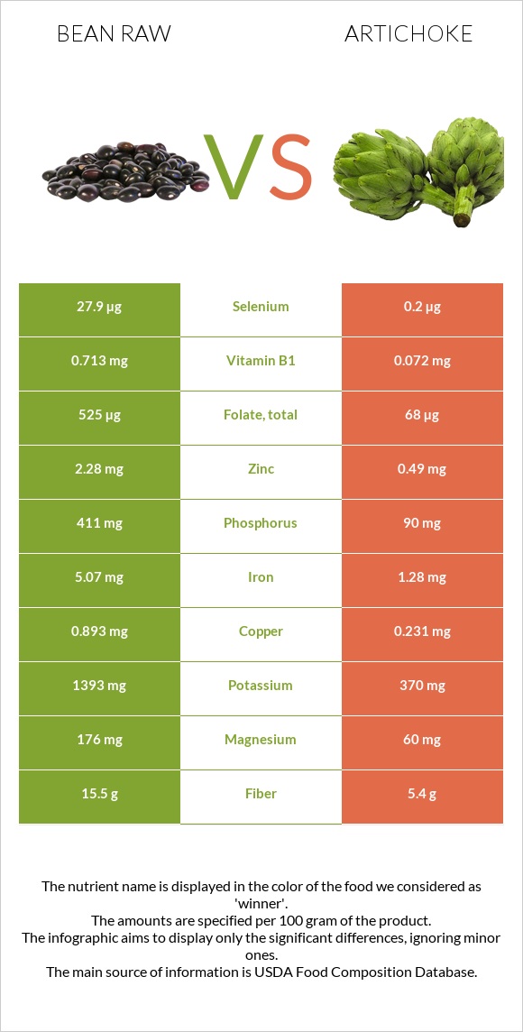 Bean raw vs Artichoke infographic