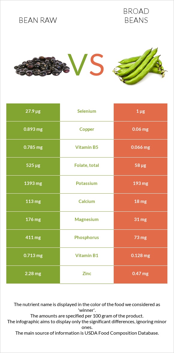 Bean raw vs. Broad bean — In-Depth Nutrition Comparison