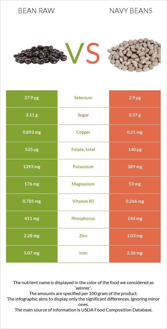 Լոբի պինտո հում vs Լոբի սպիտակ նևի infographic