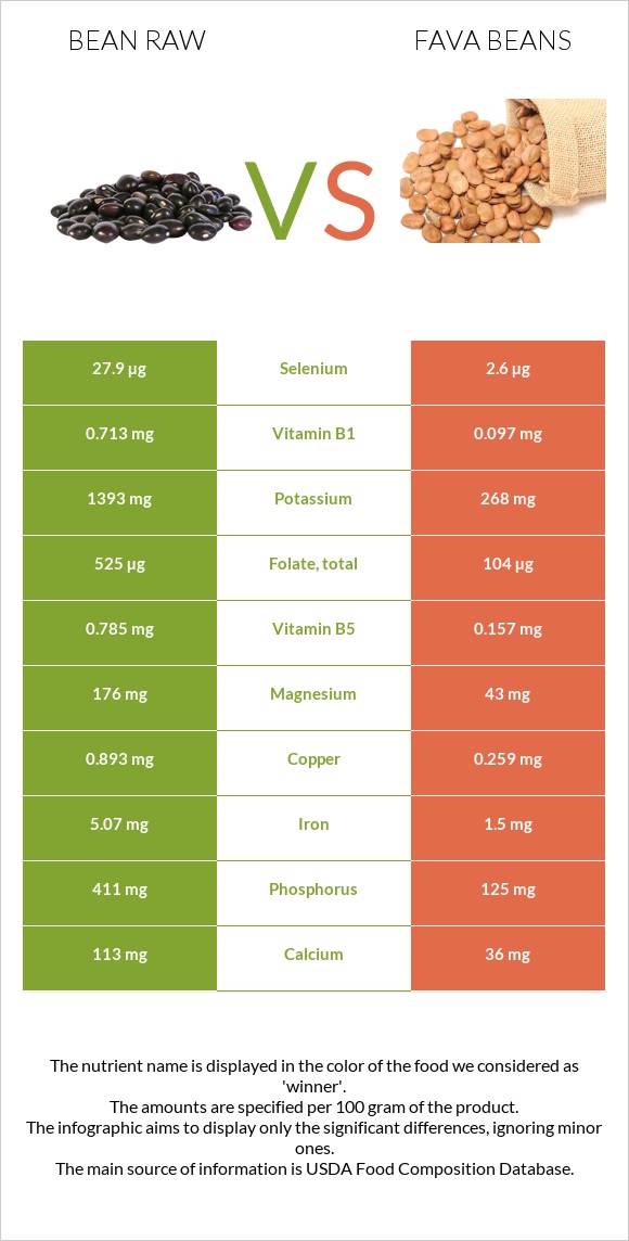 Bean raw vs Fava beans infographic