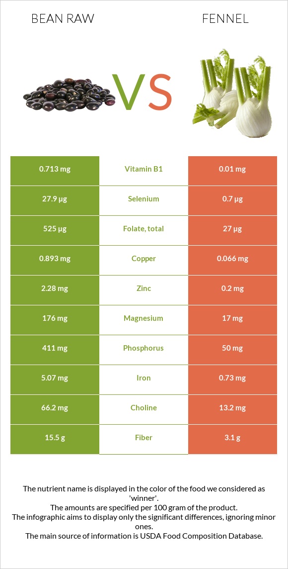 Bean raw vs Fennel infographic