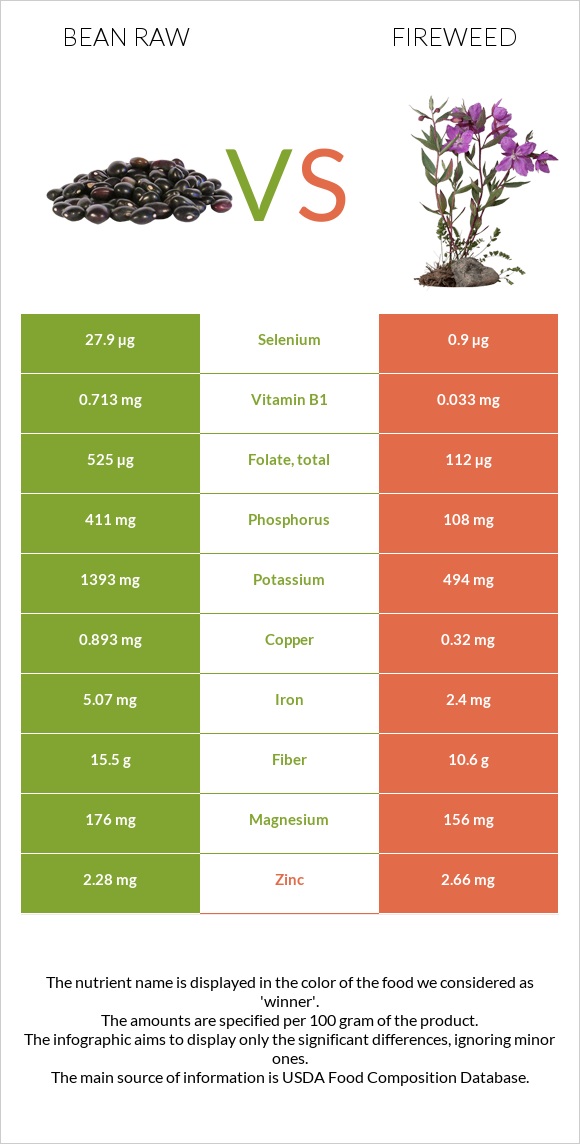 Bean raw vs Fireweed infographic