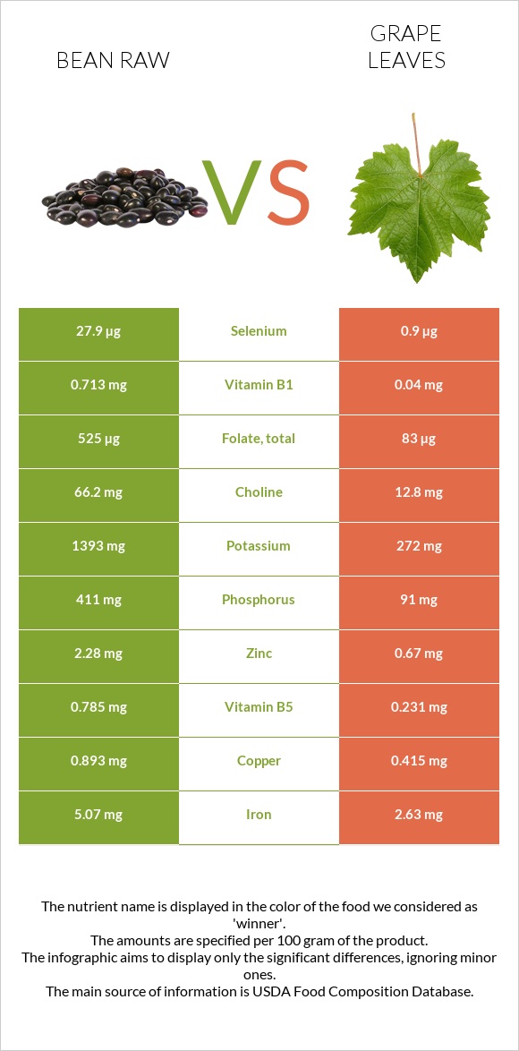 Bean raw vs Grape leaves infographic