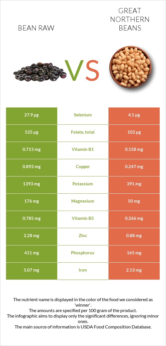 Bean raw vs Great northern beans infographic