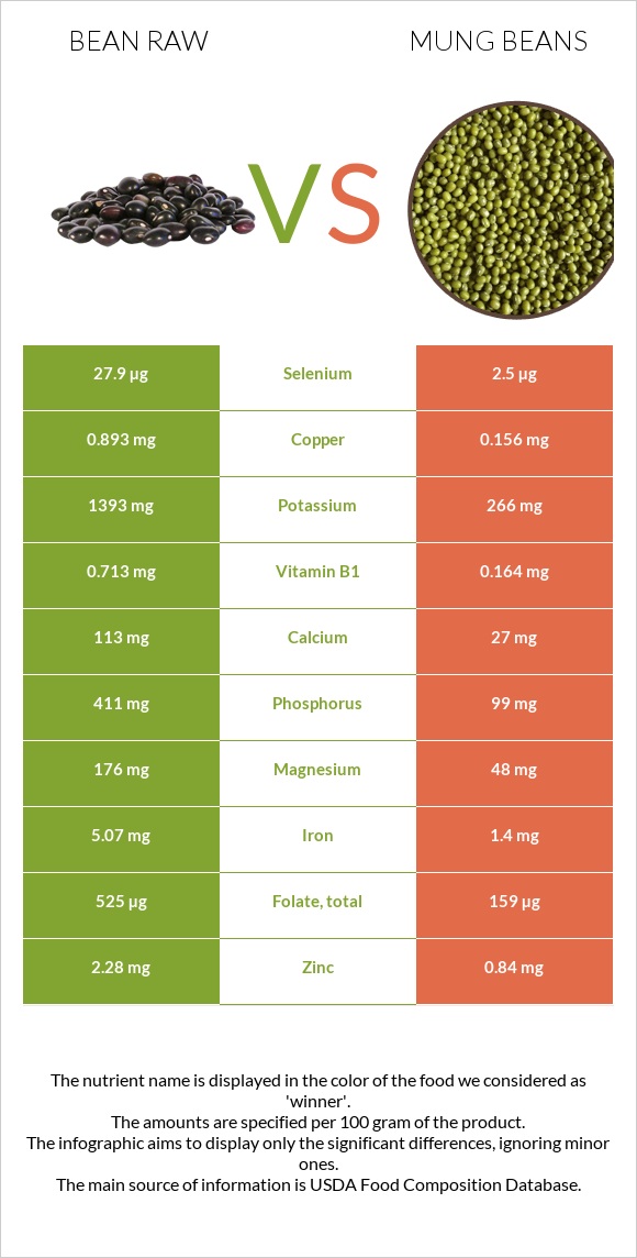 Bean raw vs Mung beans infographic