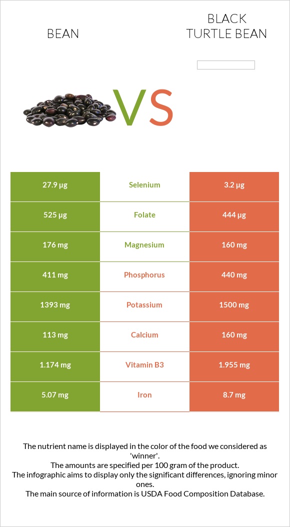 Bean vs Black turtle bean infographic