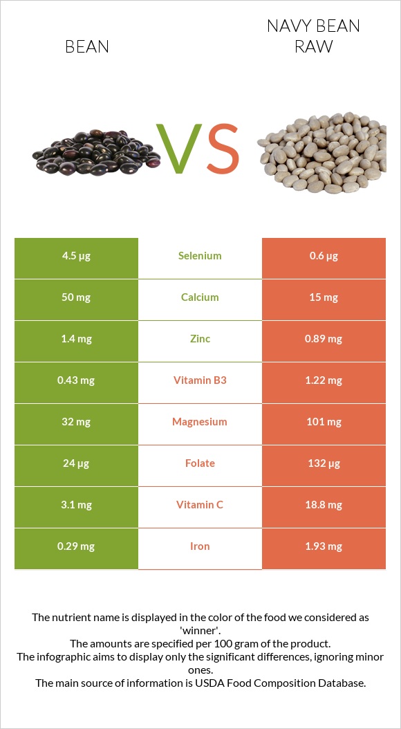 Bean vs Navy bean raw infographic