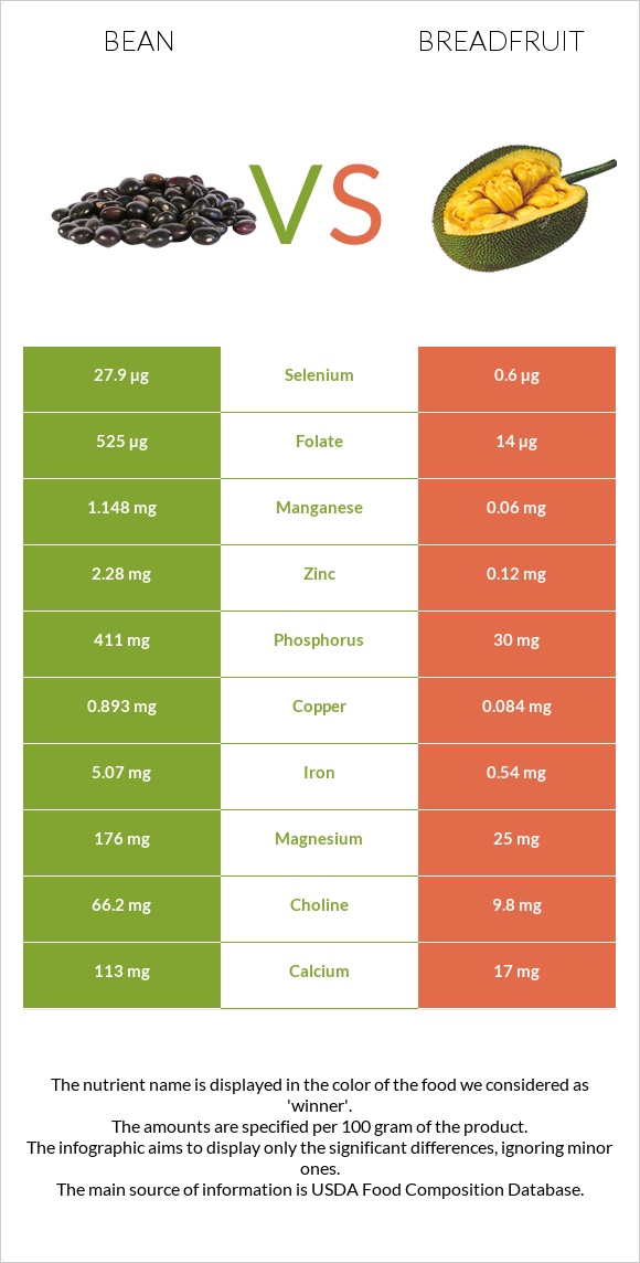 Bean vs Breadfruit infographic