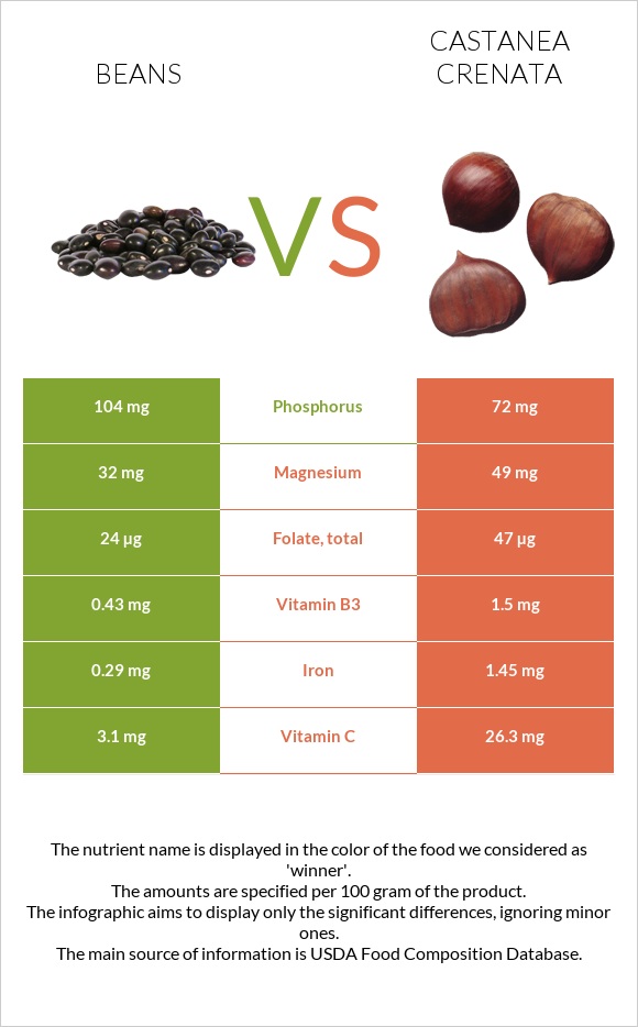Beans vs Castanea crenata infographic