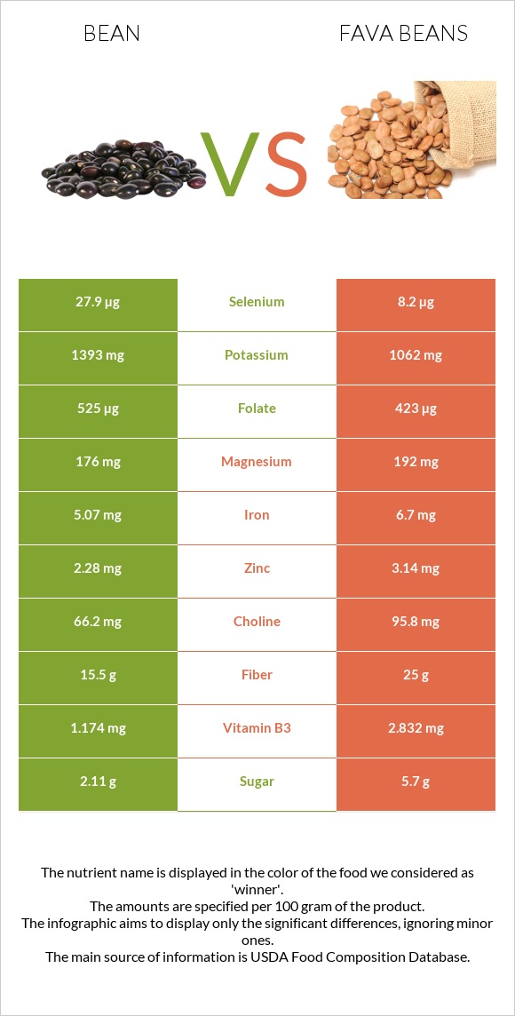 Լոբի պինտո vs Fava beans infographic