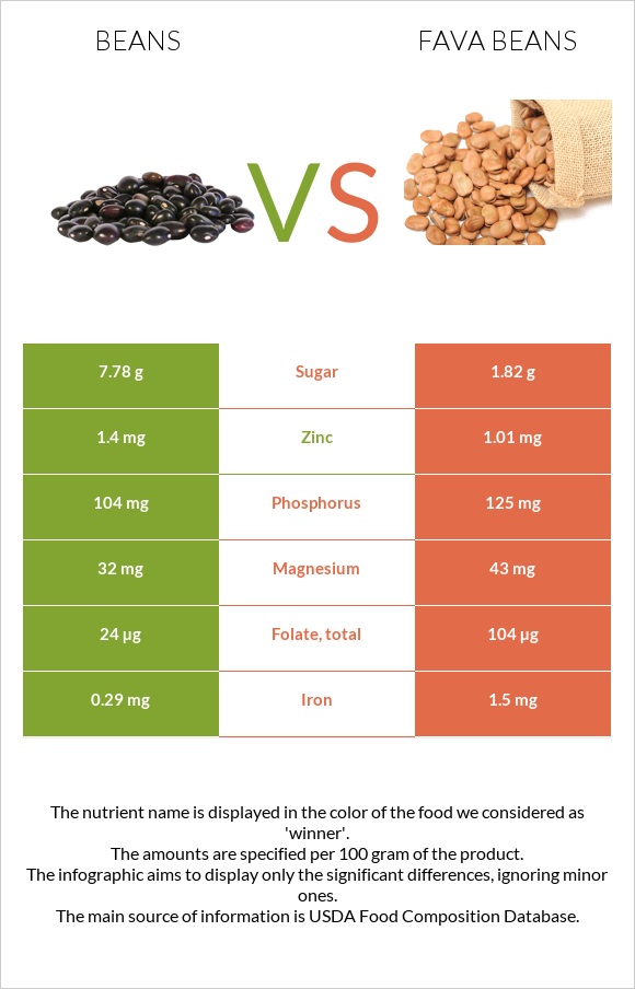 Beans vs Fava beans infographic