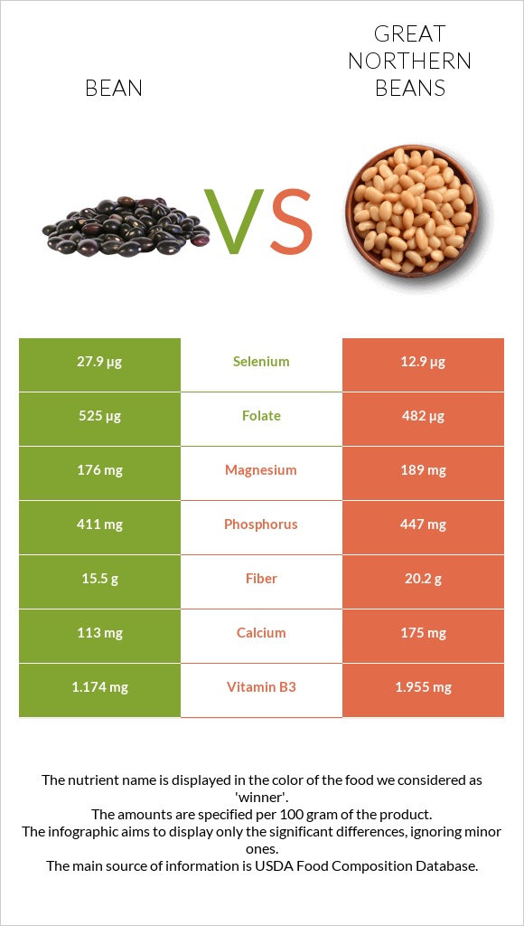 Լոբի պինտո vs Great northern beans infographic