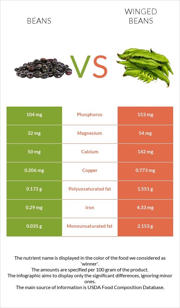 Լոբի պինտո vs Winged beans infographic