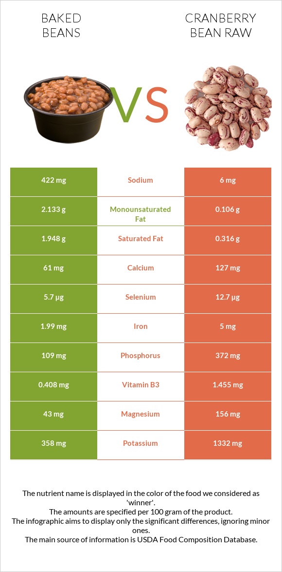 Baked beans vs Cranberry bean raw infographic