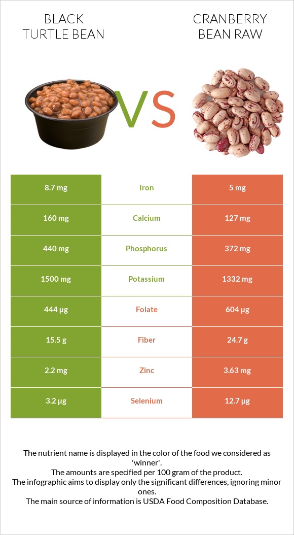 Black turtle bean vs Cranberry bean raw infographic