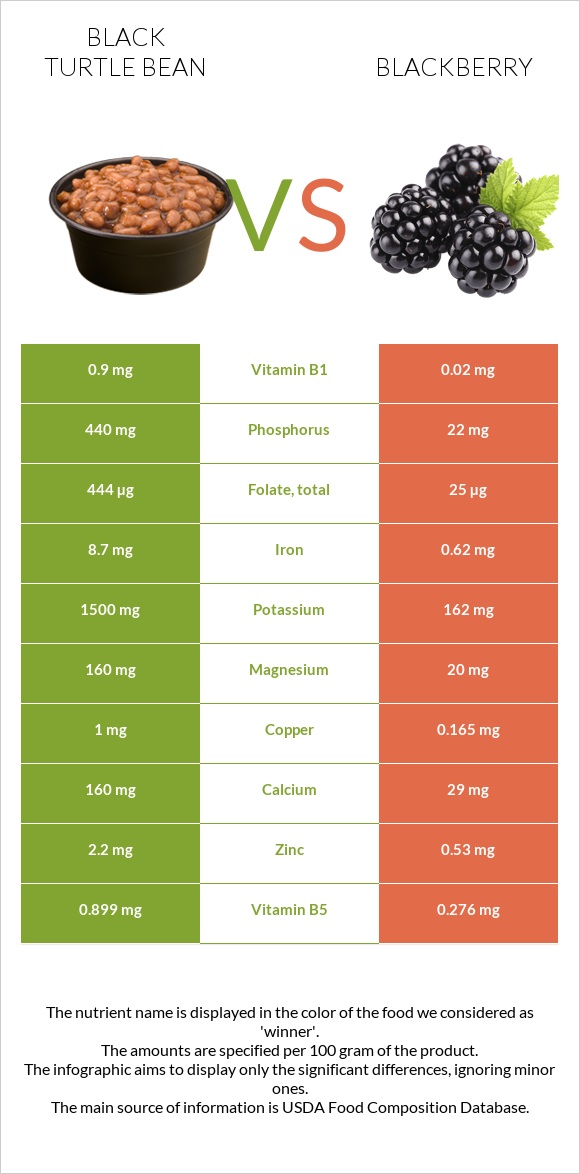 Black turtle bean vs Blackberry infographic