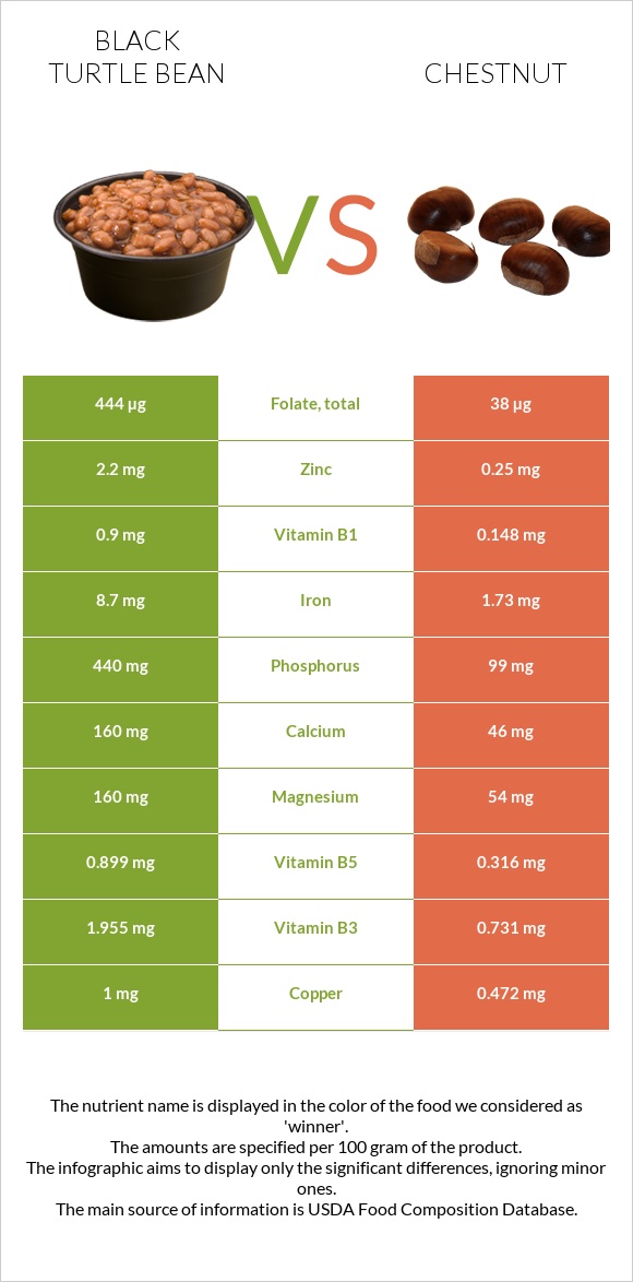Black turtle bean vs Chestnut infographic