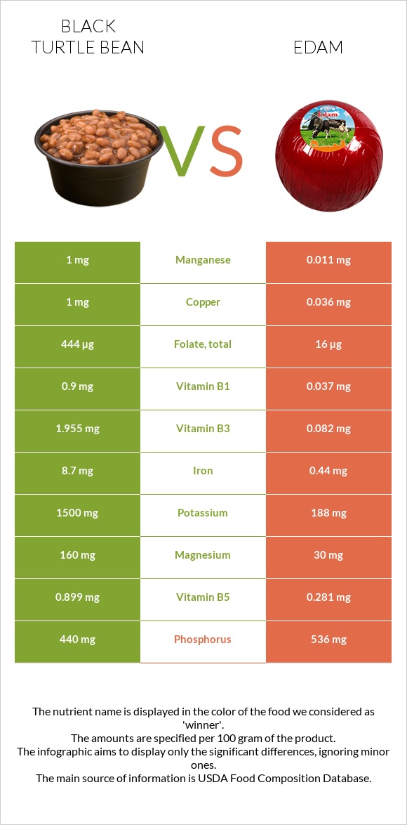 Black turtle bean vs Edam infographic