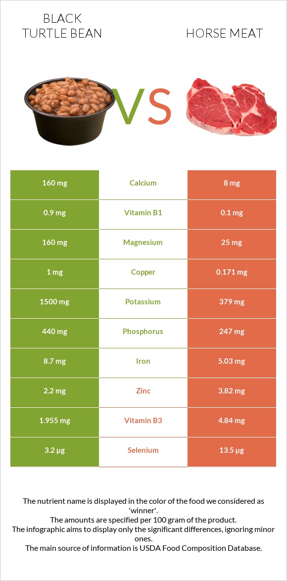 Black turtle bean vs Horse meat infographic