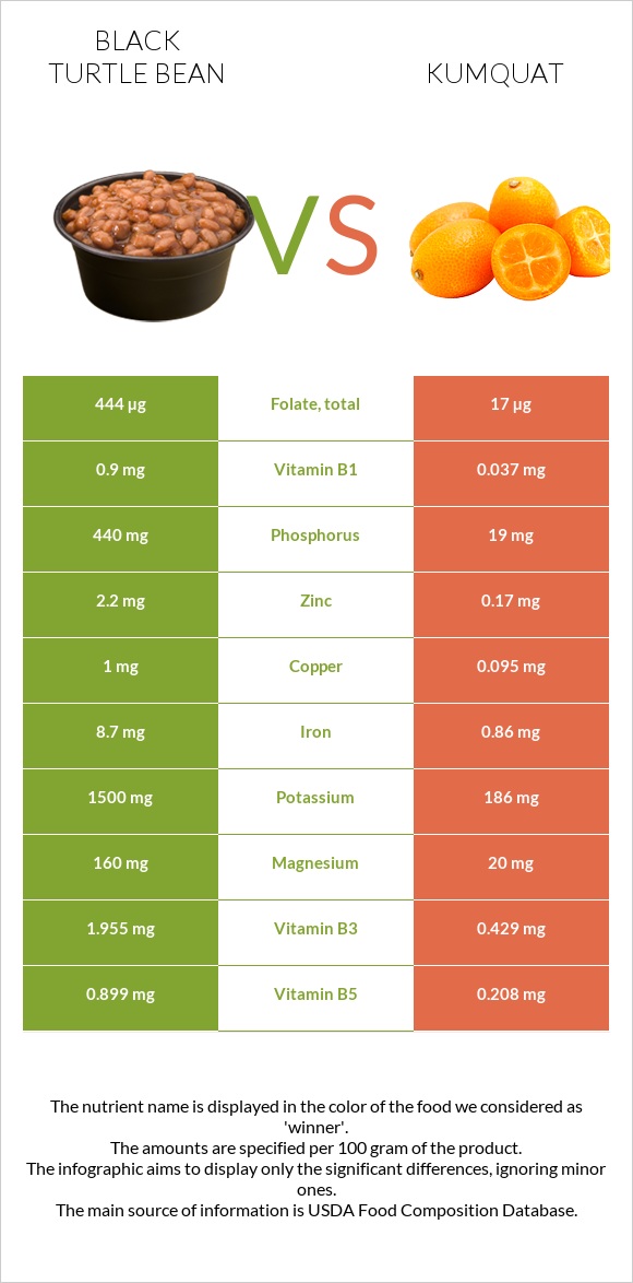 Black turtle bean vs Kumquat infographic