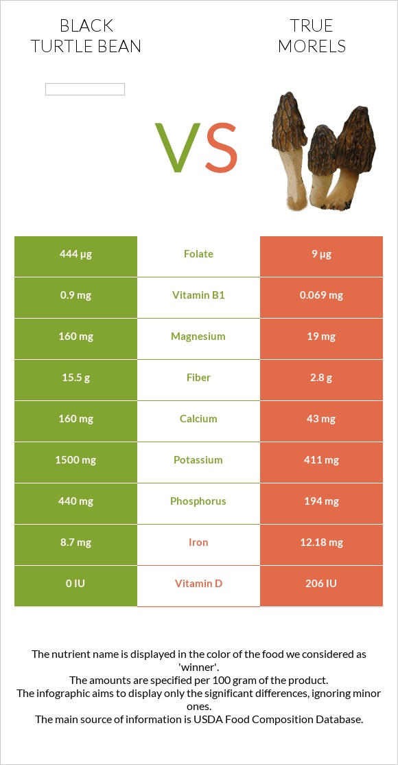 Black turtle bean vs True morels infographic