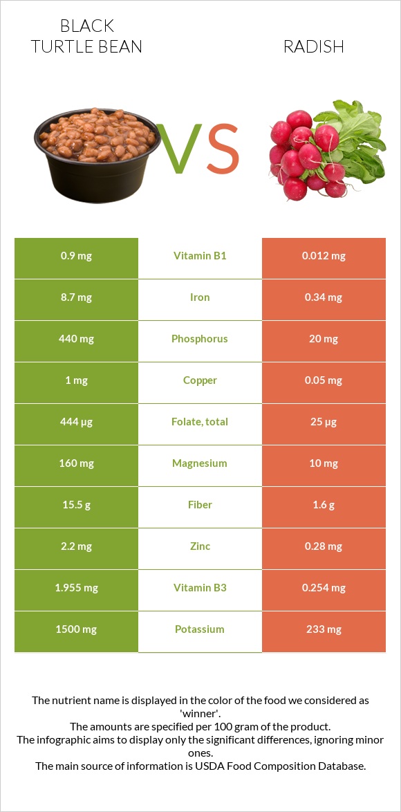 Black turtle bean vs Radish infographic