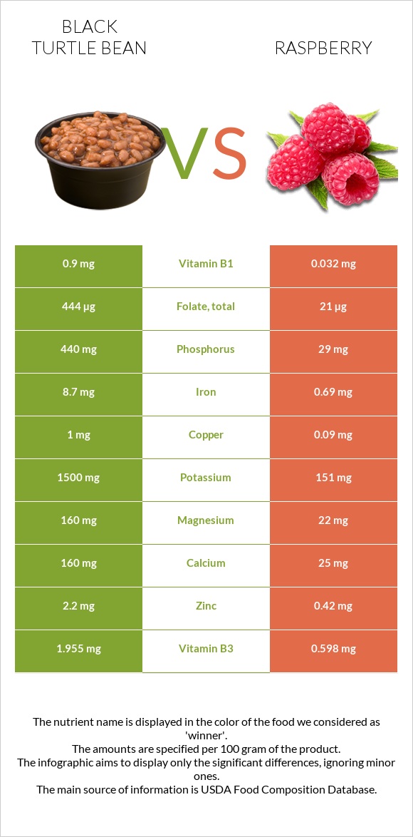 Black turtle bean vs Raspberry infographic