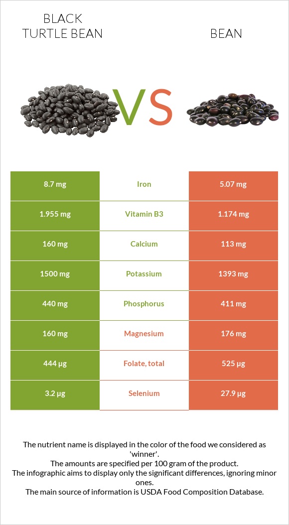 Black turtle bean vs Bean infographic