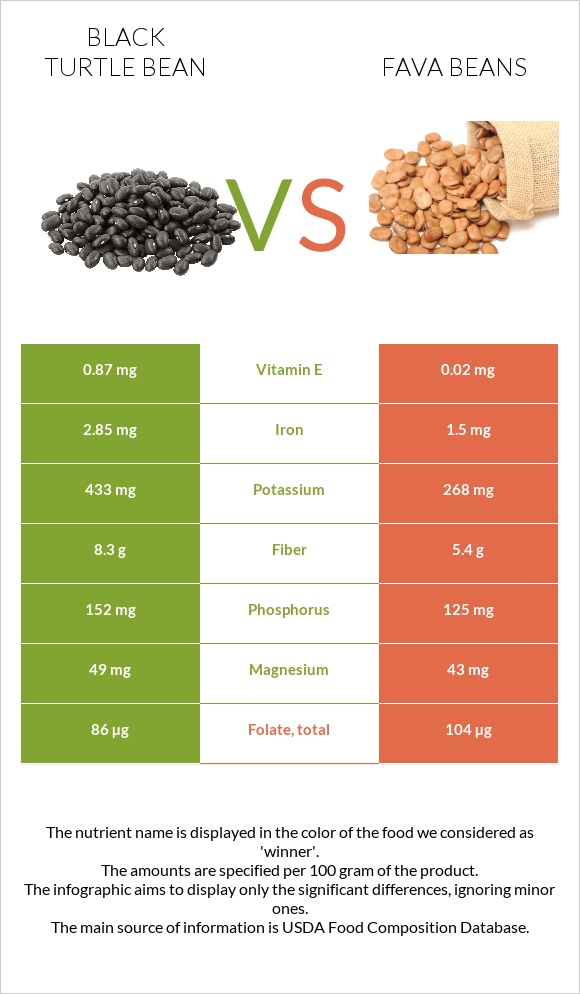 Black turtle bean vs Fava beans infographic