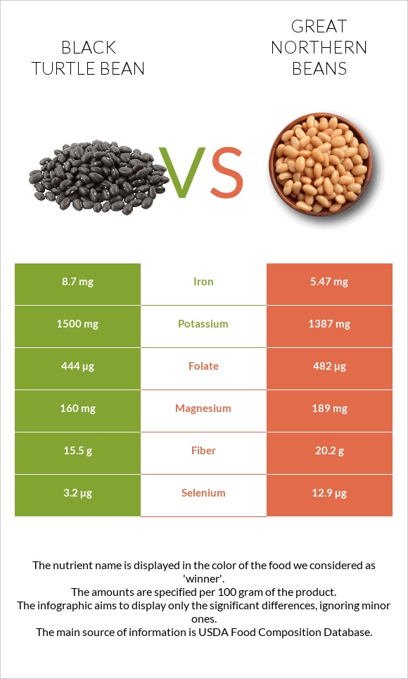 Black turtle bean vs Great northern beans infographic
