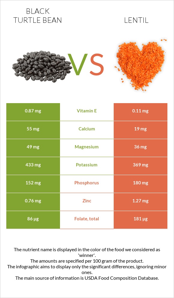 Black turtle bean vs Lentil infographic