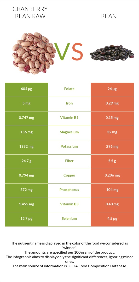 Cranberry bean raw vs Bean infographic