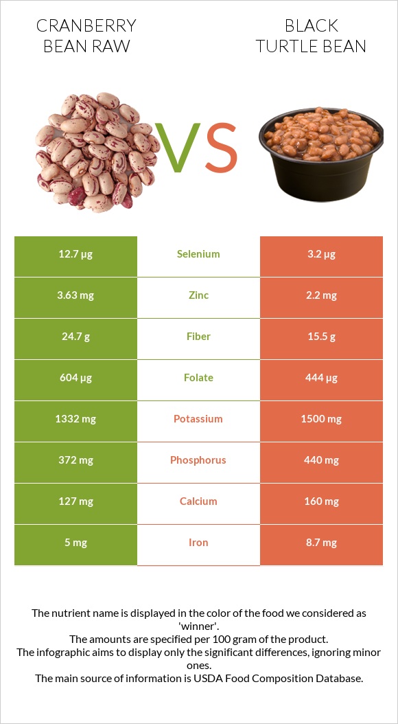 Cranberry bean raw vs Black turtle bean infographic