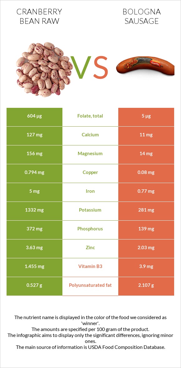 Cranberry bean raw vs Bologna sausage infographic