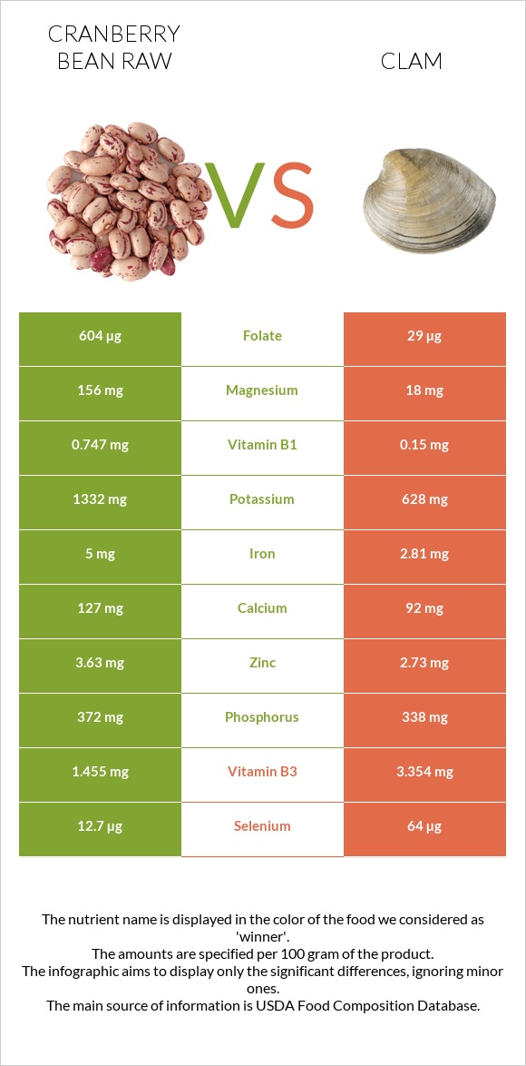 Cranberry bean raw vs Clam infographic