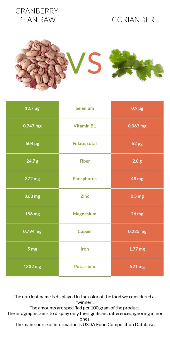 Cranberry bean raw vs Coriander infographic