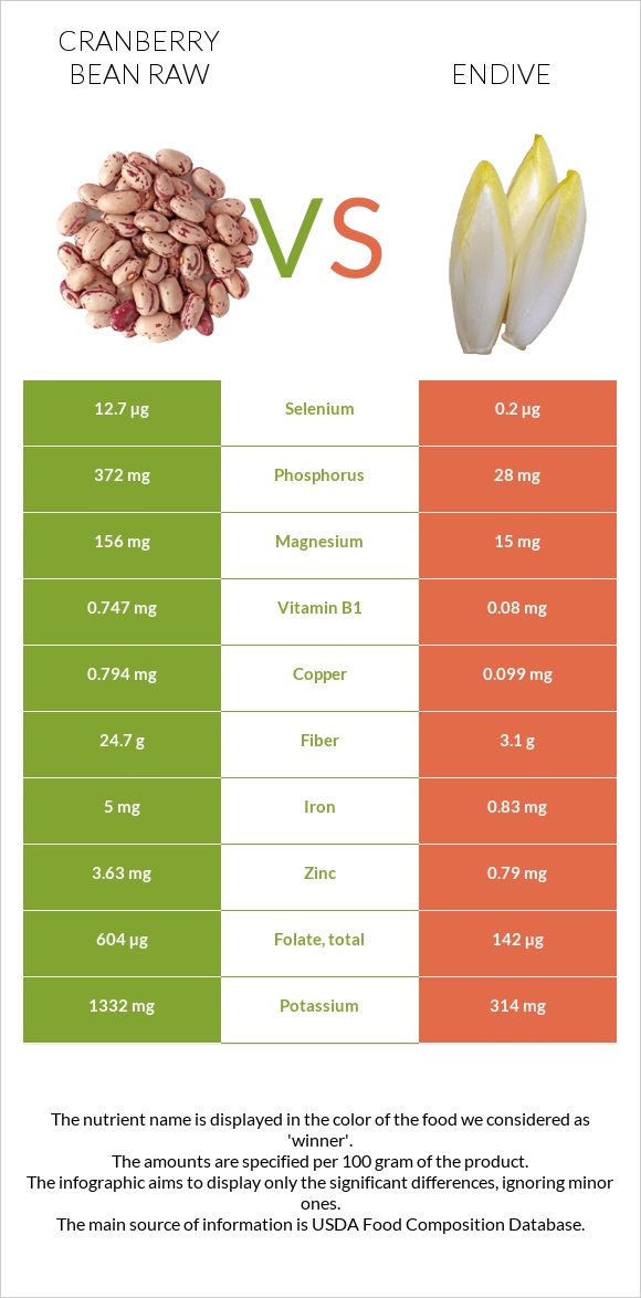 Cranberry bean raw vs Endive infographic