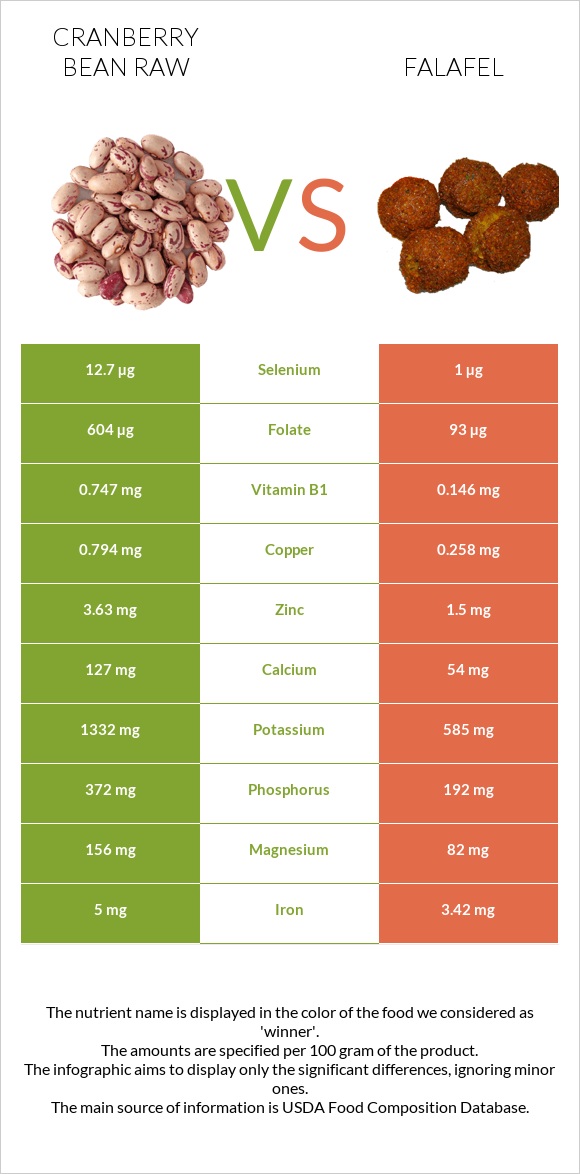 Cranberry bean raw vs Falafel infographic
