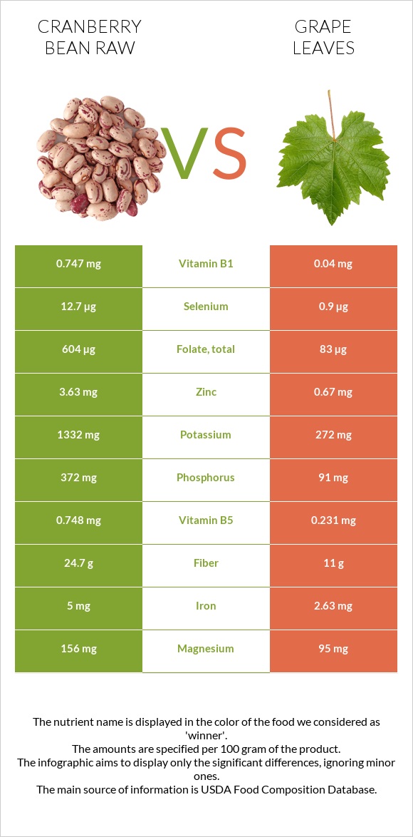 Cranberry bean raw vs Grape leaves infographic