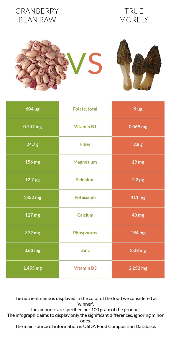 Cranberry bean raw vs True morels infographic