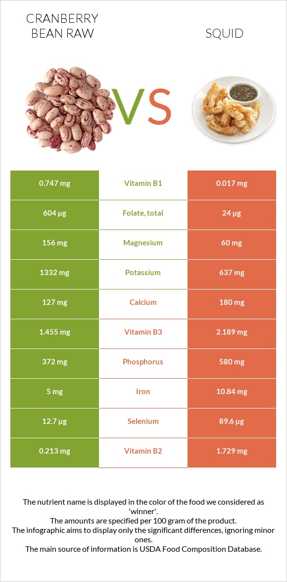 Cranberry bean raw vs Squid infographic