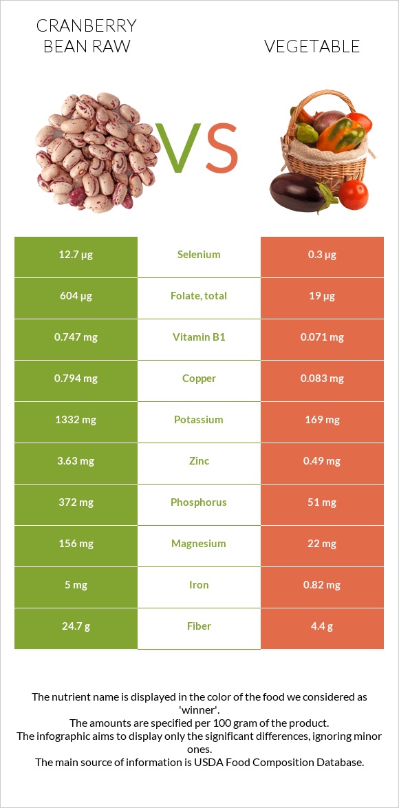 Cranberry bean raw vs Vegetable infographic