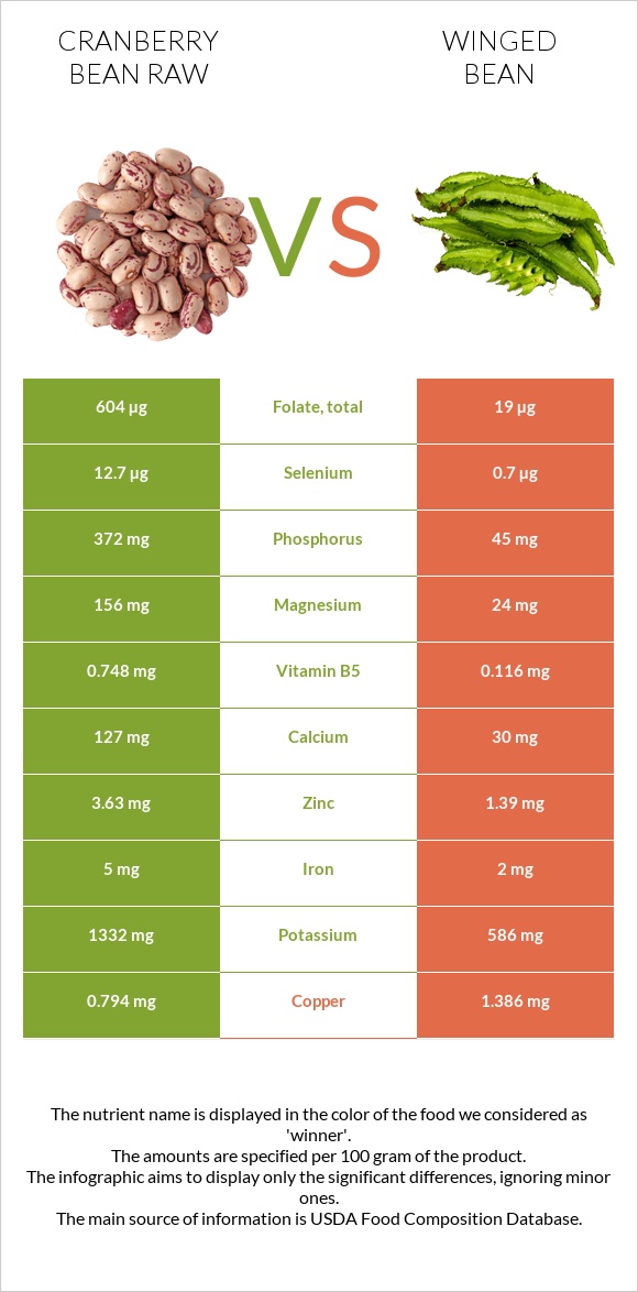 Cranberry bean raw vs Winged bean infographic