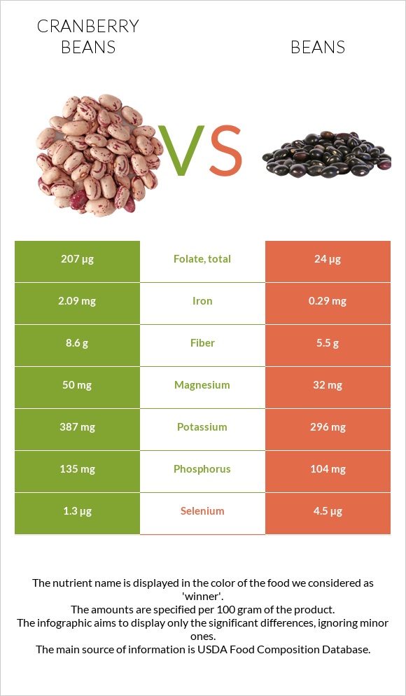 Cranberry beans vs Bean infographic