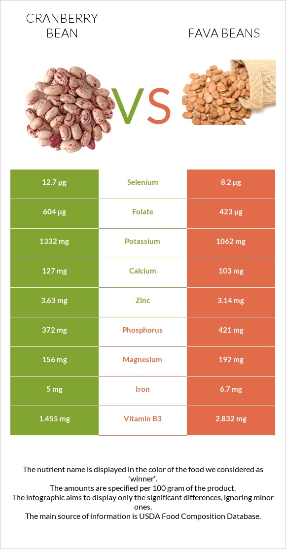 Լորամրգի լոբի vs Fava beans infographic