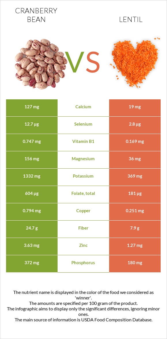 Cranberry bean vs Lentil infographic